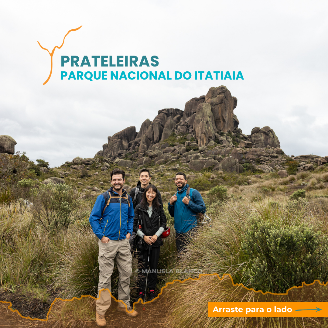 PRATELEIRAS1.png