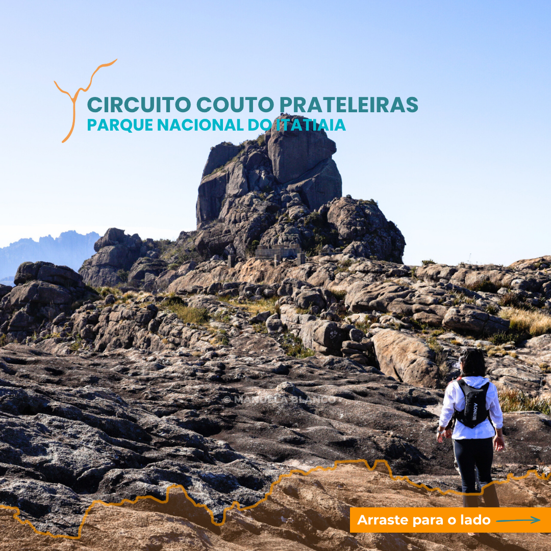 CIRCUITO-COUTO-PRATELEIRAS-1.png