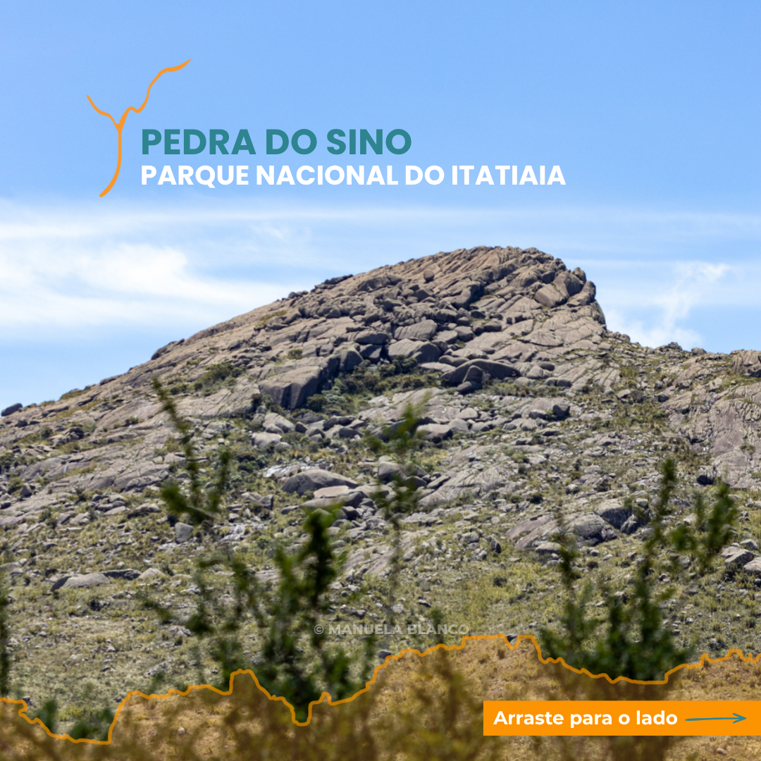 SINO1.png